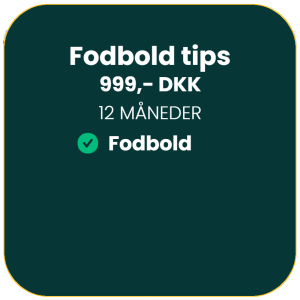 12 Måneder - Fodbold