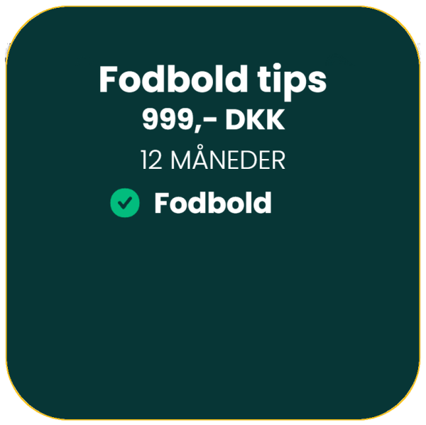 12 Måneder - Fodbold