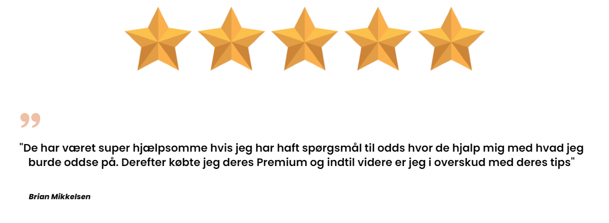 Anmeldelse 1