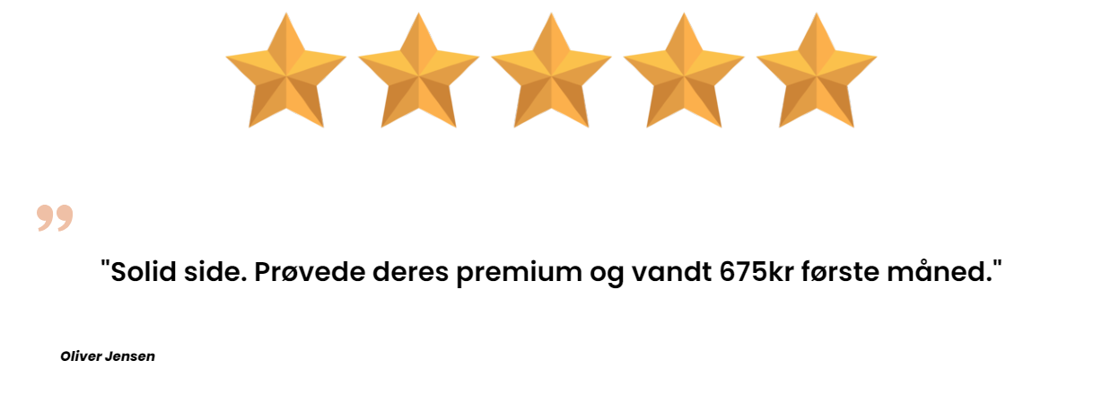 Anmeldelse 2