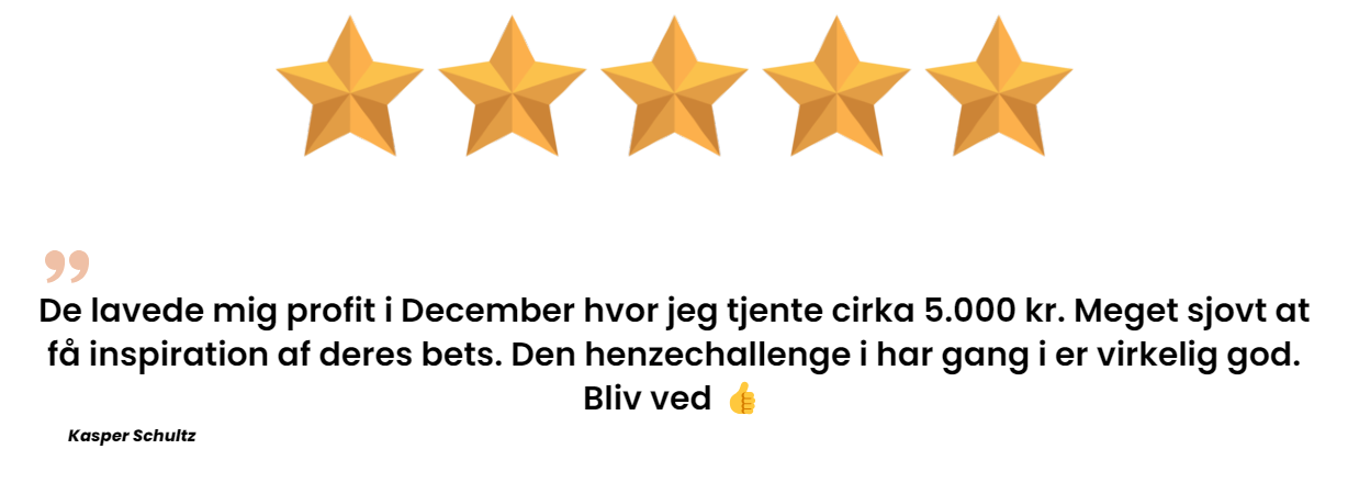 Anmeldelse 5